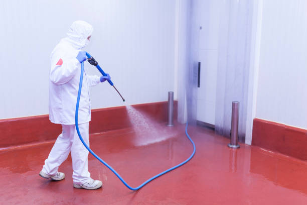 Best Rust Removal  in Gretna, FL